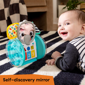 Baby Einstein Chase and Tap Earl button panel activates learning in two modes.