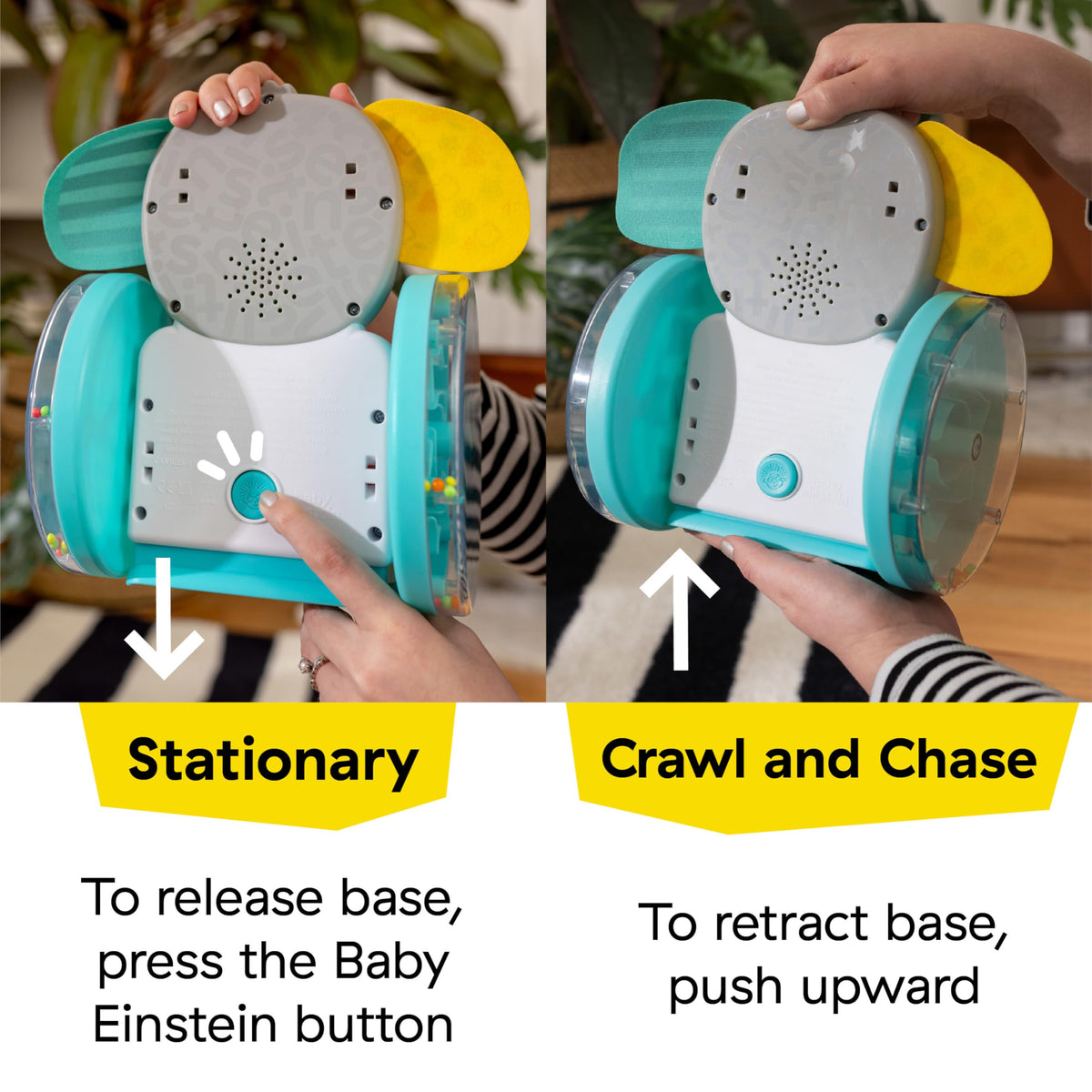 Baby Einstein Chase and Tap Earl music mode plays melodies and lights.
