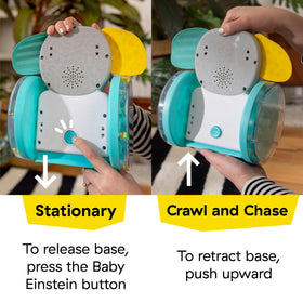 Baby Einstein Chase and Tap Earl music mode plays melodies and lights.