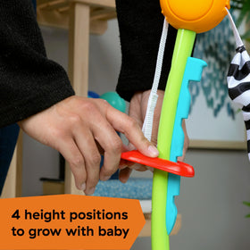 Flashcard set included for early learning during jumper or floor play.