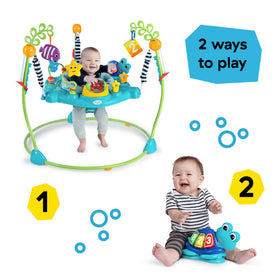 Neptune the Turtle removable toy for floor play and portable learning with Baby Einstein.