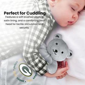 Security bear measures 14 by 14 inches for little hands.