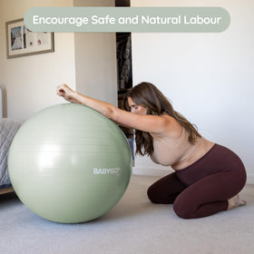 BabyGO pregnancy book with 7-part guide for all trimesters and postpartum recovery.