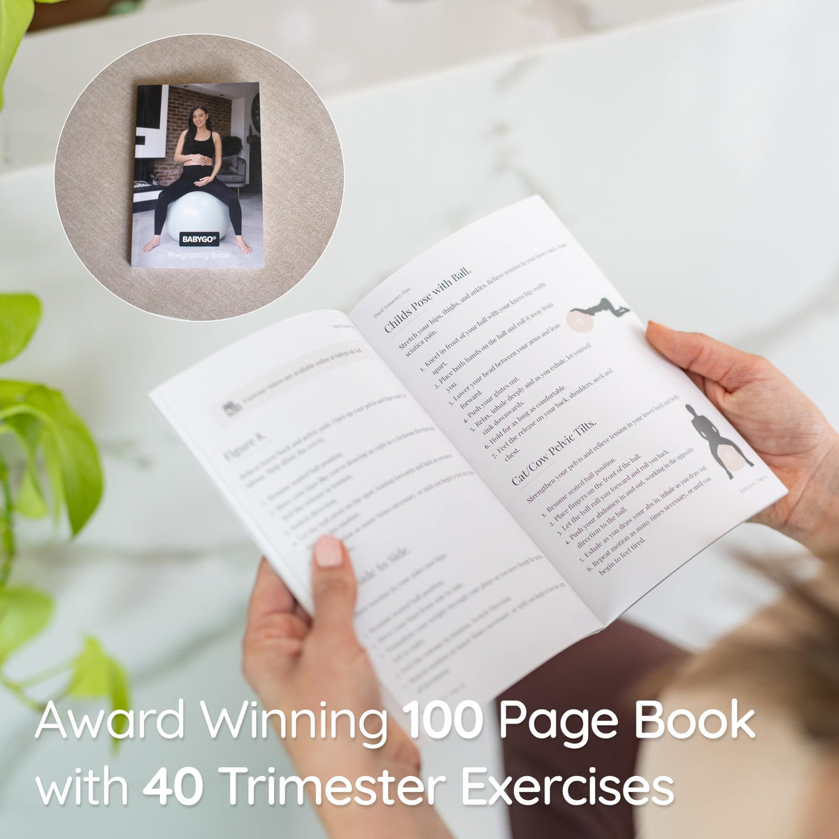BABYGO ball beside the pregnancy book for trimester guidance and planning