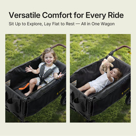 BabyVista stroller wagon UPF 50+ canopy with bug net