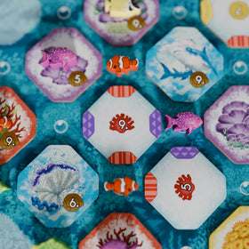 BAD COMET Shallow Sea box and packaging looks sturdy and gift-ready