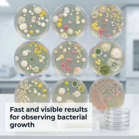 BAJOTAL bacteria growing kit swabs ready for safe surface sampling activities