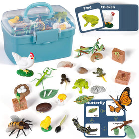 Bambilo life cycle butterfly figures support hands-on learning about metamorphosis.