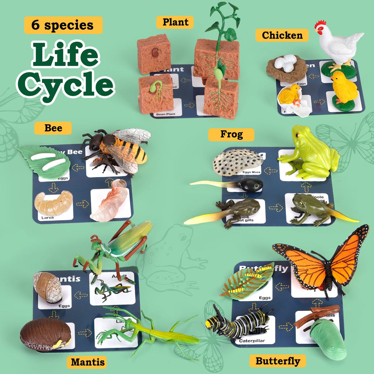 Bambilo life cycle chicken figures encourage real-world discussion of growth and development.