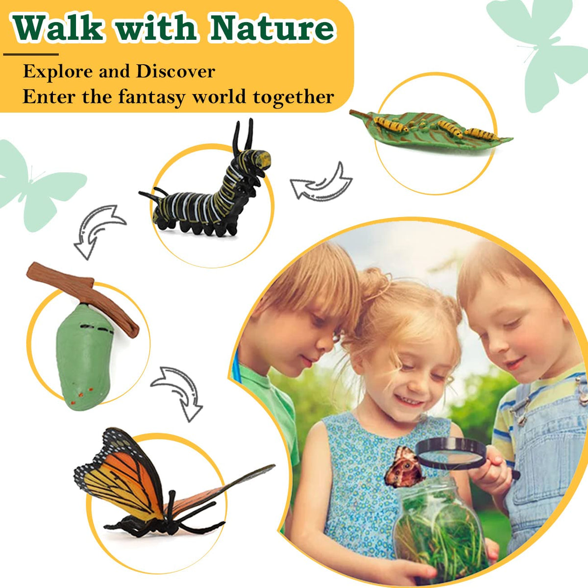Bambilo life cycle mantis figures spark curiosity about insect life stages.