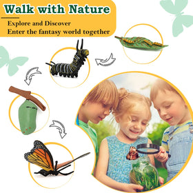 Bambilo life cycle mantis figures spark curiosity about insect life stages.