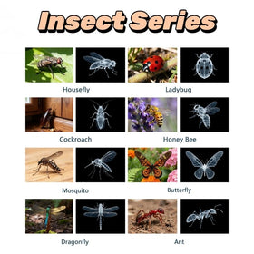 BAOGETONGLER 16-animal-xray set cards are ideal for science centers and group activities.