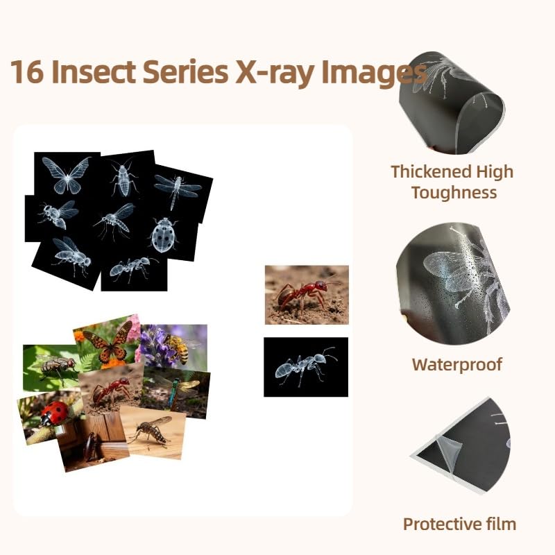 BAOGETONGLER 16-animal-xray set supports lightstand demonstrations of shadow play and observation.