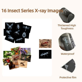 BAOGETONGLER 16-animal-xray set supports lightstand demonstrations of shadow play and observation.