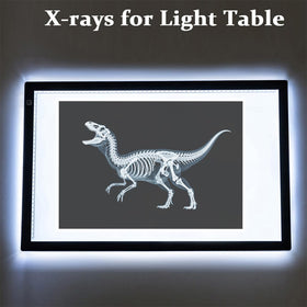 BAOGETONGLER 16 Animal X-Ray Set shadow play demonstrating silhouettes with light