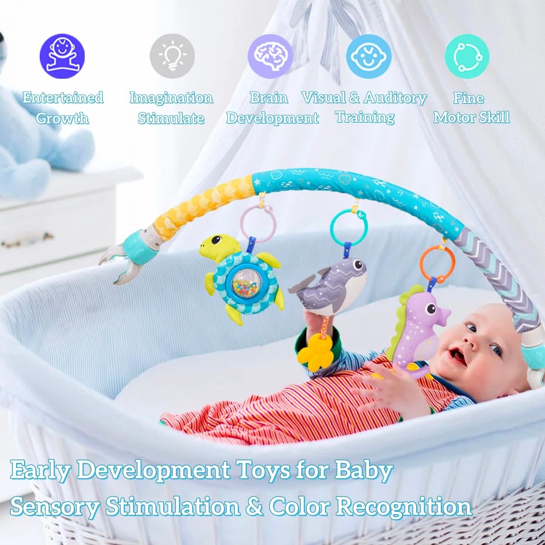 Batoho arch seahorse squeaker stimulates hearing and curiosity