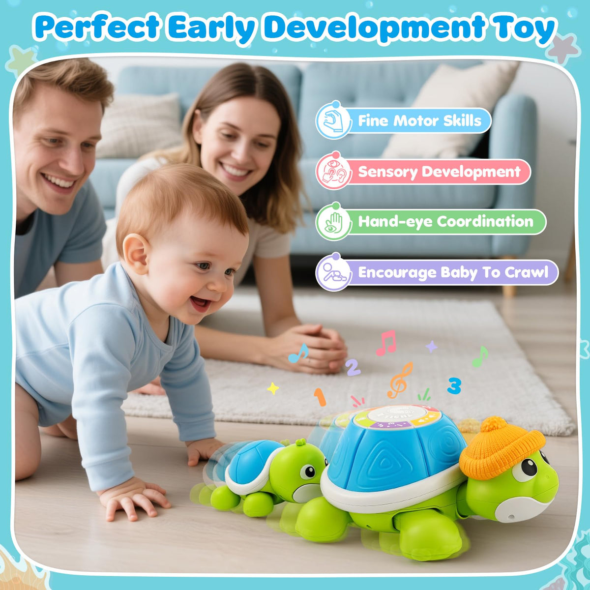 BAYSING turtle playing songs and counting numbers for early learning