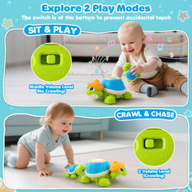 BAYSING turtle learning-mode button activating numbers colors and sounds