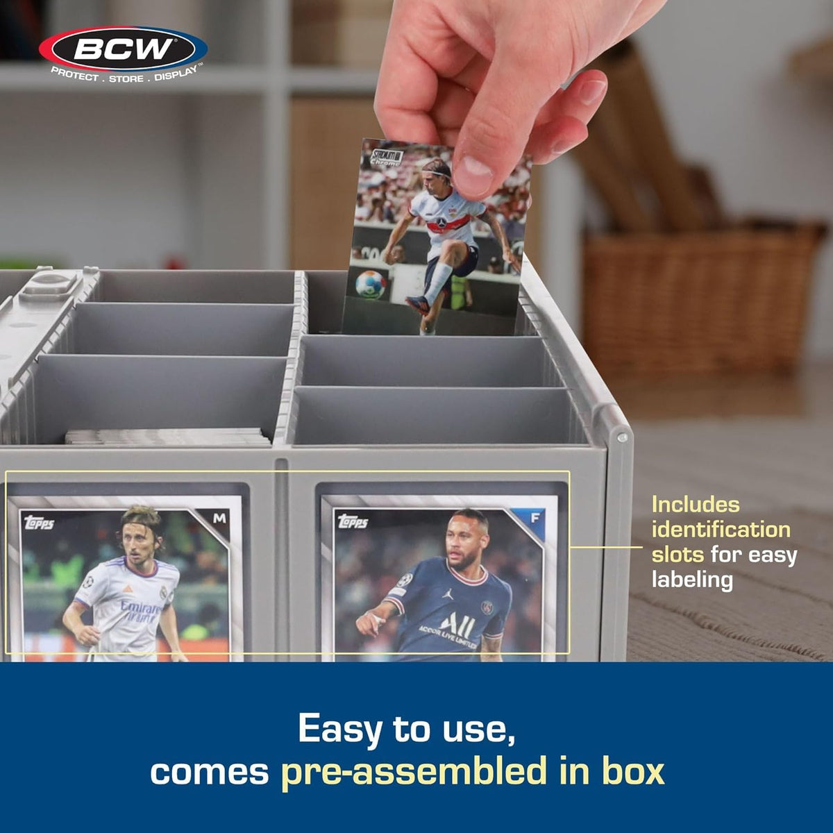 BCW Card Bin gray partitions visible to customize card rows