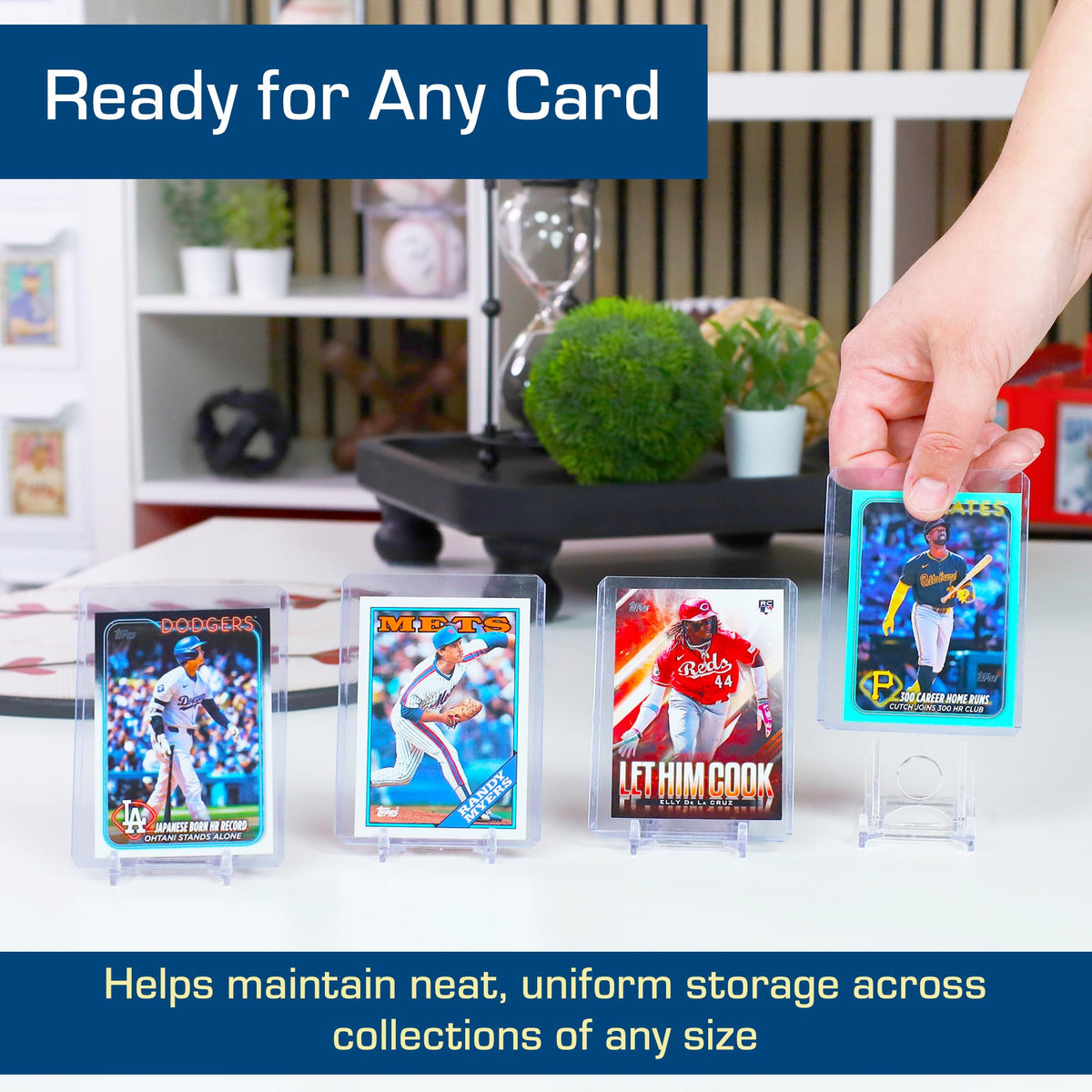 Durable card holder and organizer for BCW protection system.
