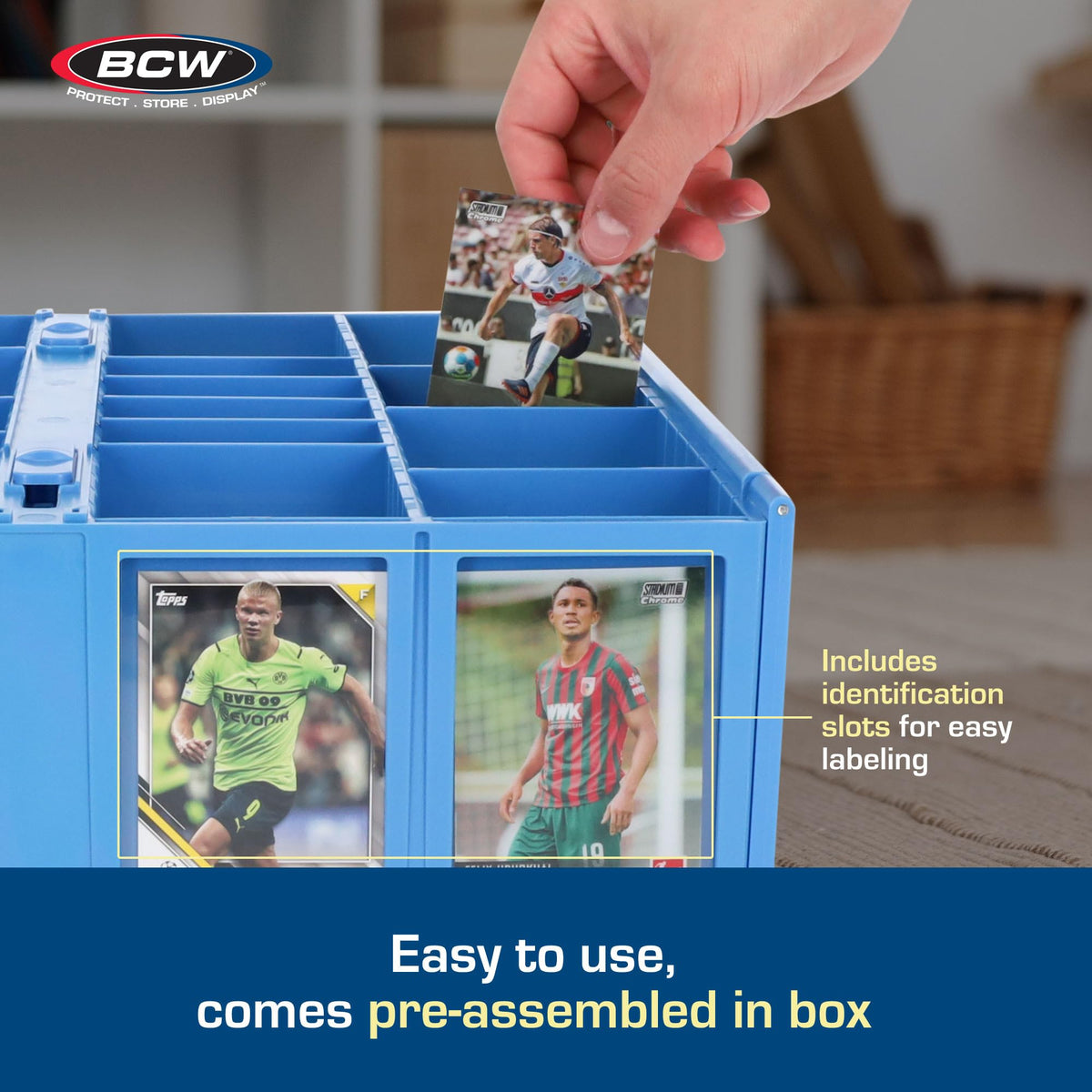 BCW blue bin rows with partitions accommodate toploaders and deck boxes.
