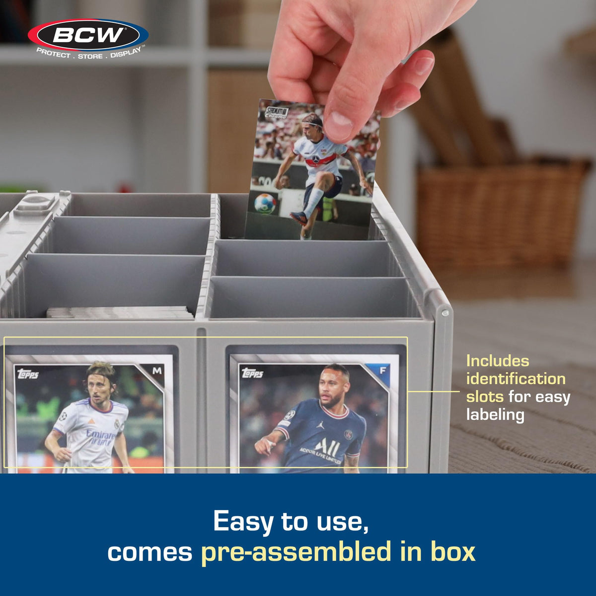 BCW Collectible Card Bin exterior slots clearly mark contents for quick identification.