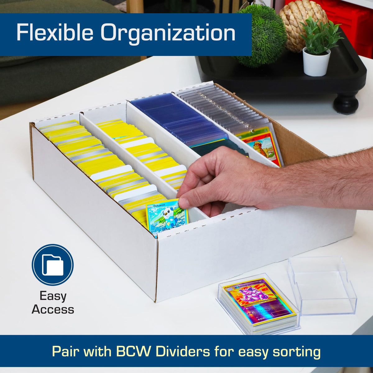 BCW Monster Box compatible with BCW dividers for organized sorting.