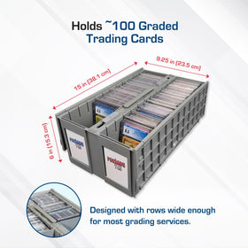 BCW slab case with built-in labeling slots assists quick category identification.