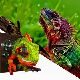 BDYDT great gift: creative construction toy for teens and adults.