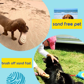 Beach Sandy Sand Remover Brush compact durable for vacations