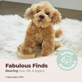 Close-up of sparkling eyes on Bearington Lovely Doodles caramel dog