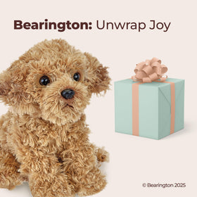 Bearington Lovely Doodles caramel dog in a playful pose sparks storytelling fun