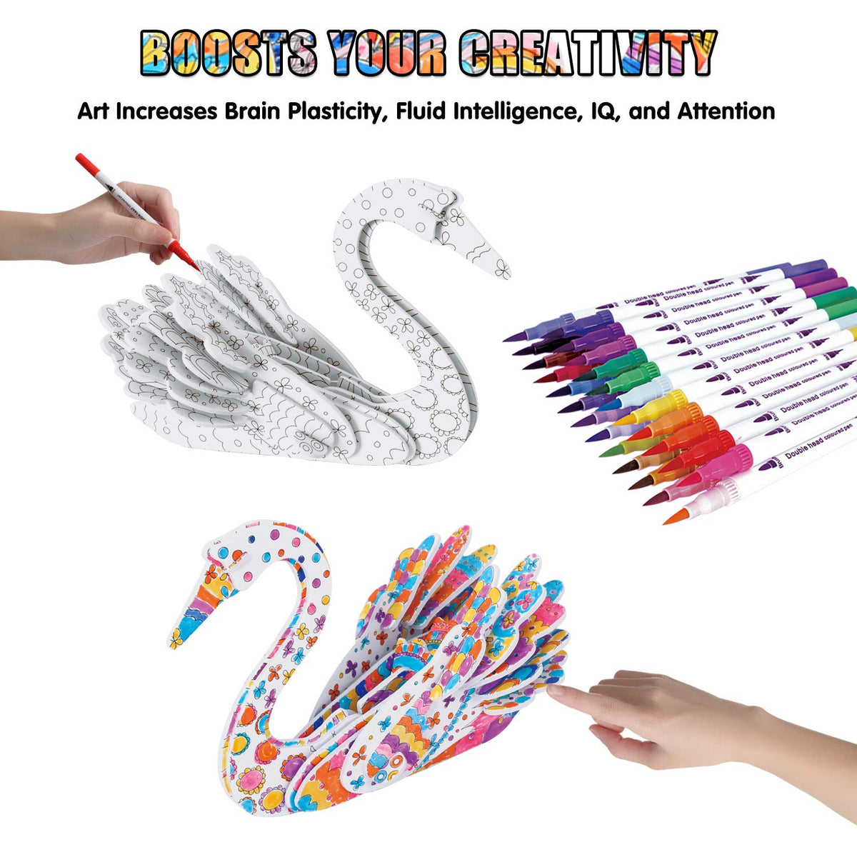 BEARUN 3D peacock model for color awareness and concentration