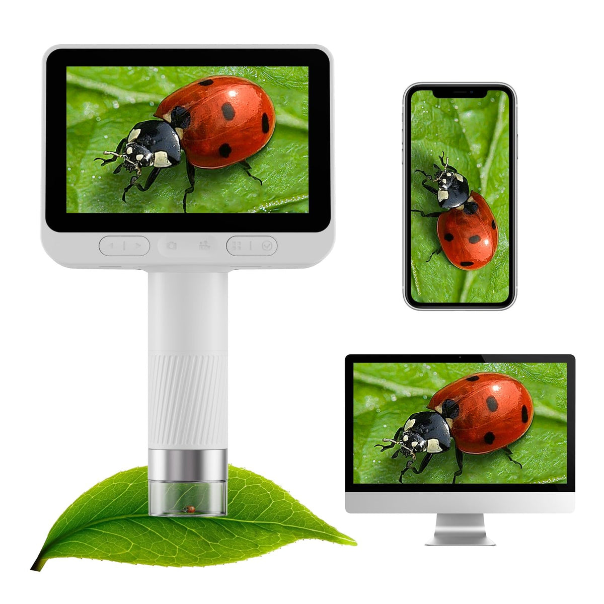BEAVERLAB Finder pocket microscope fits in small hands for on-the-go learning