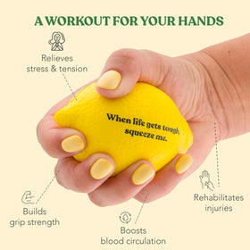 Gift-ready LemonAid stress ball for colleagues, students, or teachers.