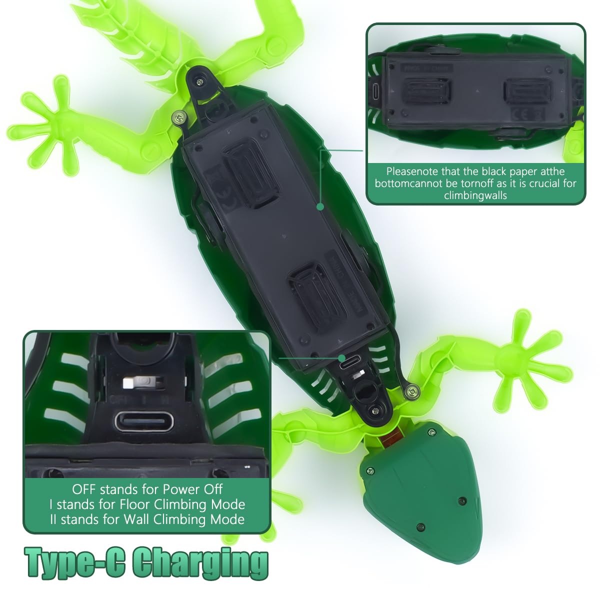 BEEBOY wall climbing gecko gift-ready packaging for kids aged 3-10