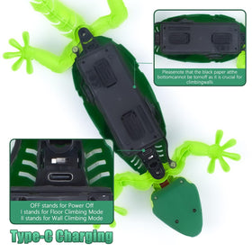 BEEBOY wall climbing gecko gift-ready packaging for kids aged 3-10