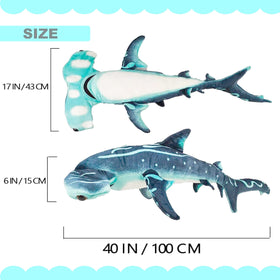 Beeyybuy hammerhead gift-ready packaging suitable for birthdays