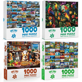 BenBen 1000-piece Jungle Parrots puzzle back with letters aids sorting.