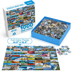 BenBen 1000-piece Jungle Parrots front with bright tropical colors.