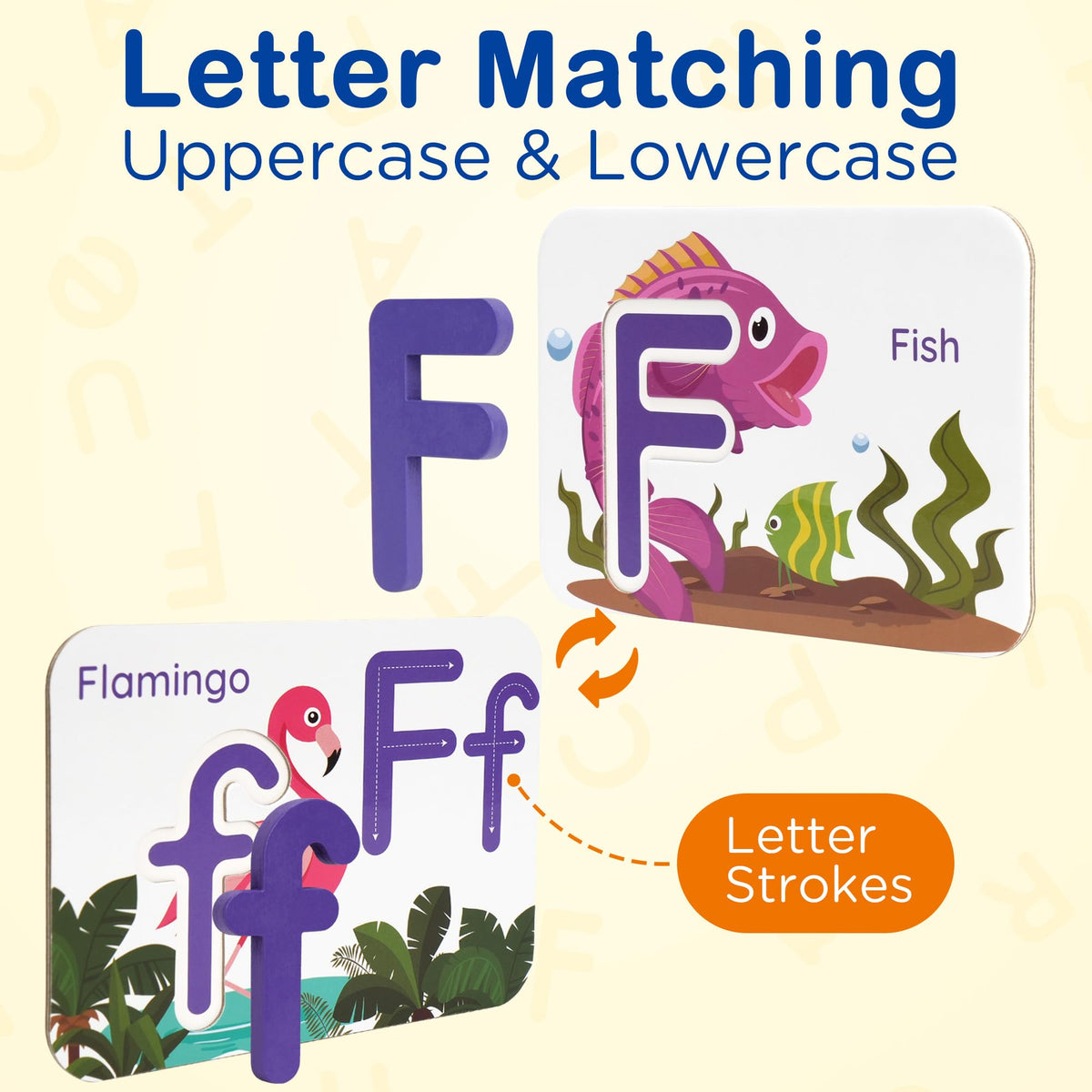 BenBen color-coded grooves aid accurate letter matching and reduce confusion.