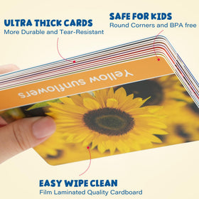 BenBen flash cards for toddlers display numbers with large fonts for easy counting