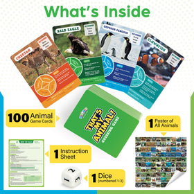BenBen Guess The Animal Card Game: dice for fast, fun questioning