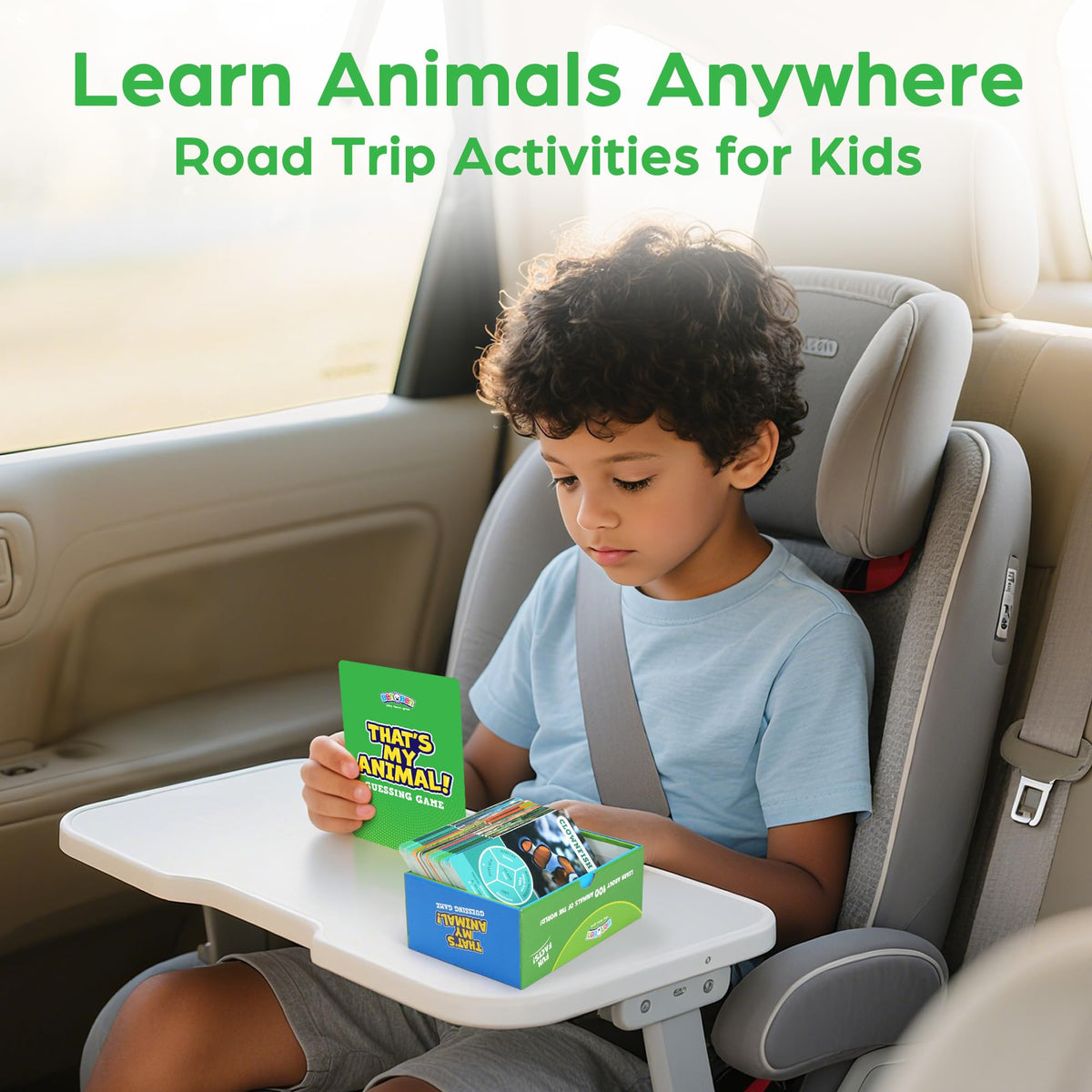 BenBen Guess The Animal Card Game: educational facts about diets and habitats