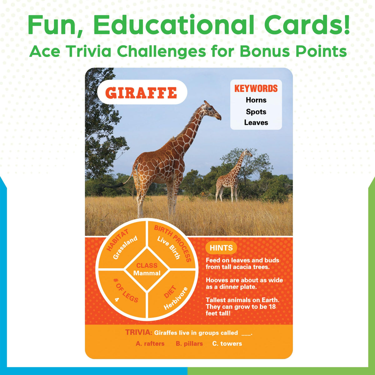 BenBen Guess The Animal Card Game: poster featuring all 100 animals