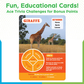 BenBen Guess The Animal Card Game: poster featuring all 100 animals