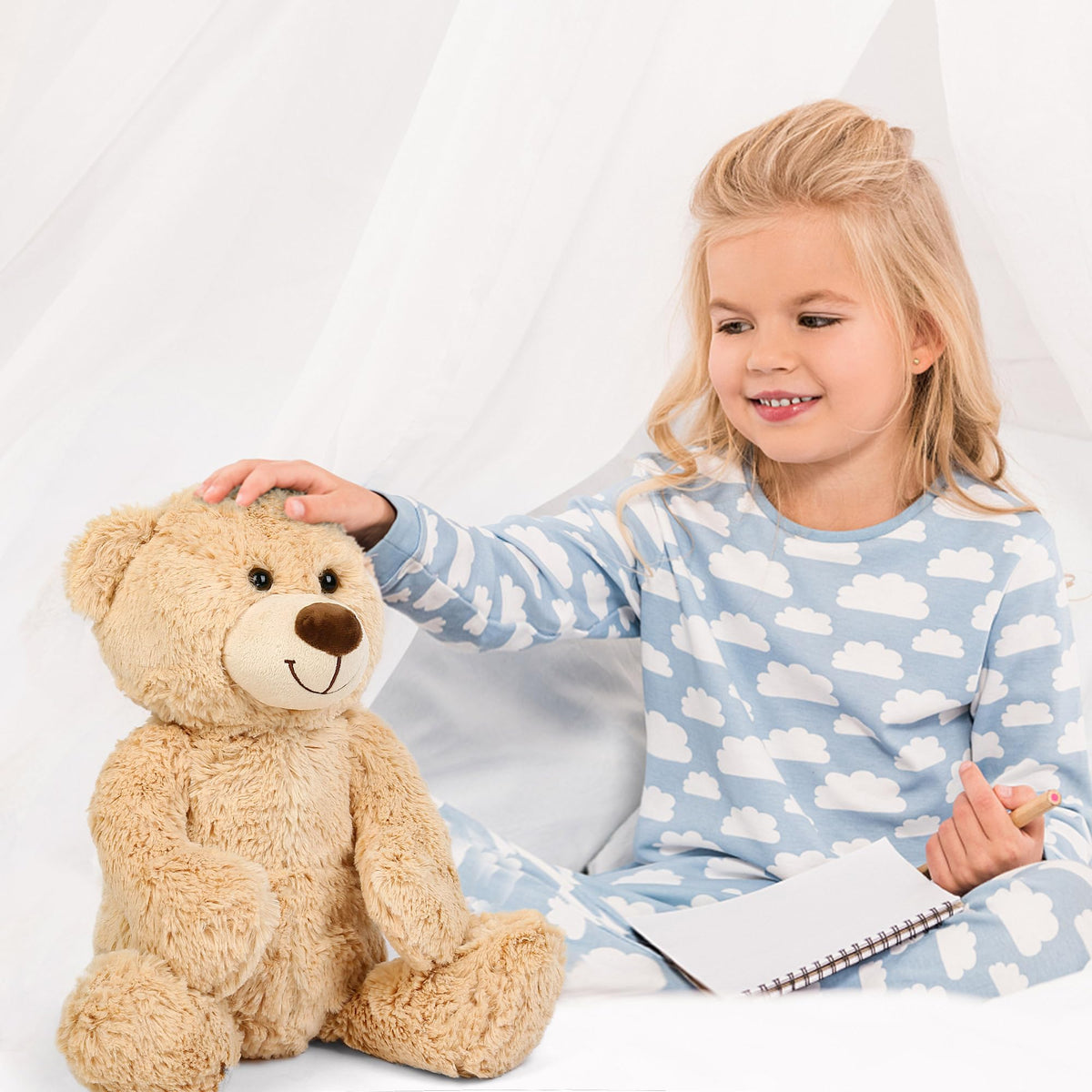 BenBen Teddy Bear displayed as decorative and keepsake setup