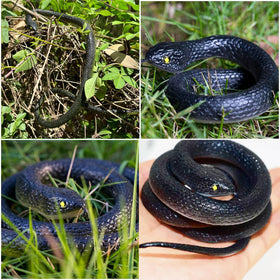 Beselley 29-inch medium black rubber snake close-up for realistic texture.