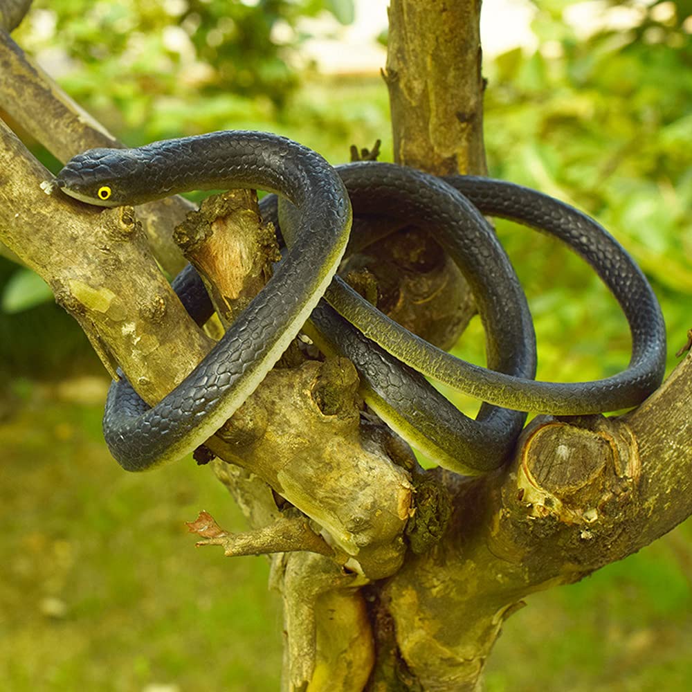 Beselley snake used as prank prop for parties or Halloween.