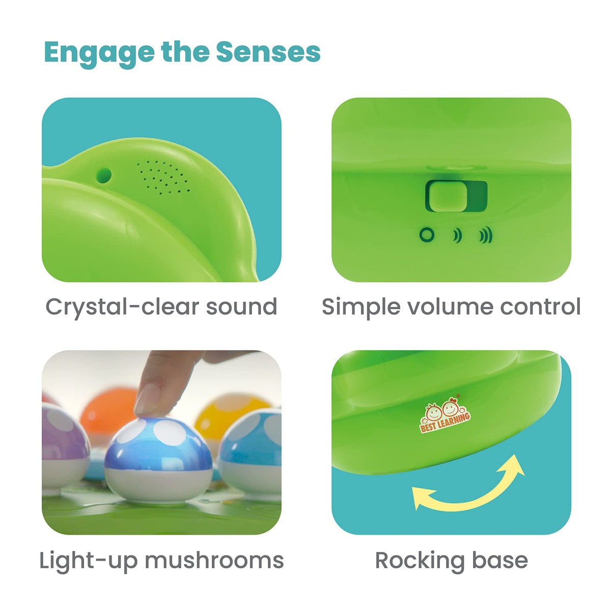 Best Learning Mushroom Garden memory pattern activity enhances attention and sequencing.